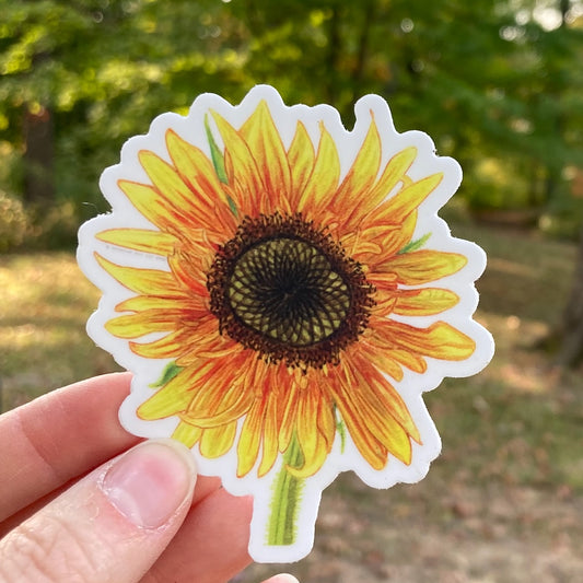 Ring of Fire Hybrid Sunflower Vinyl Sticker (2.63″ × 3″)