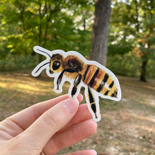 Honeybee Vinyl Sticker (3″ × 2.63″)