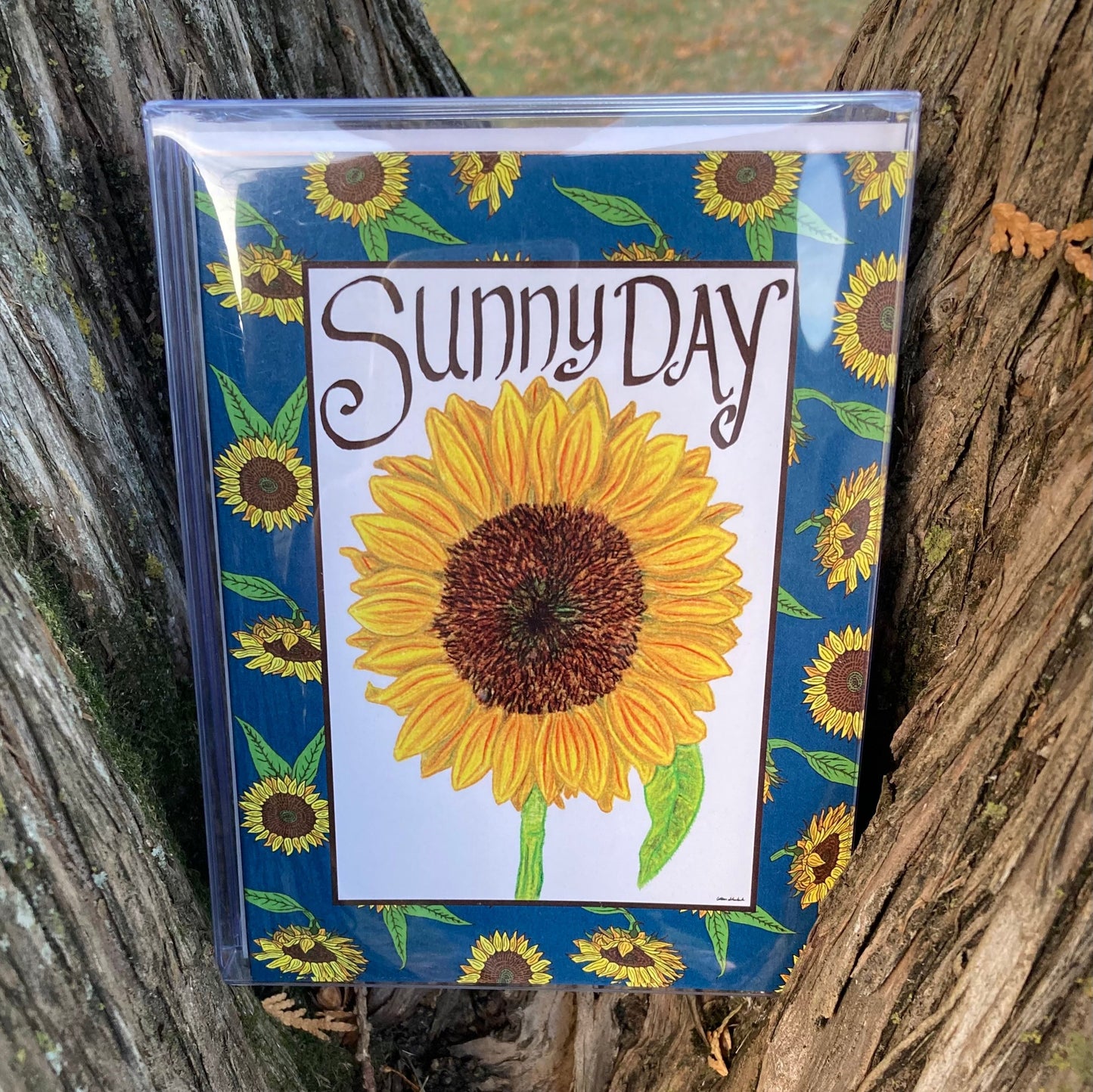 Box of 10 "Sunny Day" Greeting Cards (A2)