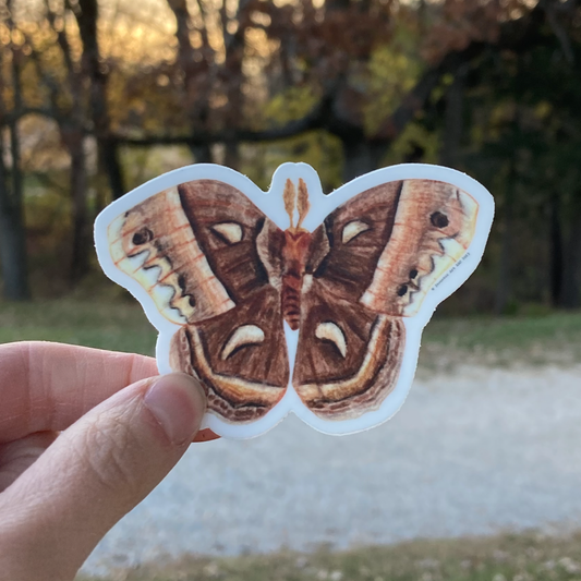 Cecropia Moth Vinyl Sticker (3″ × 2.13″)