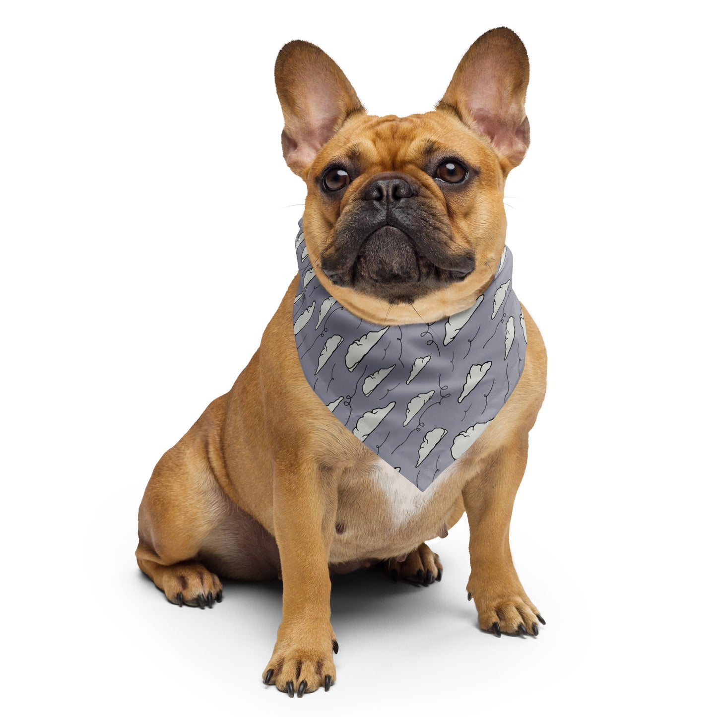 Gray Sky "Dreaming Adventure" Bandana (3 sizes)